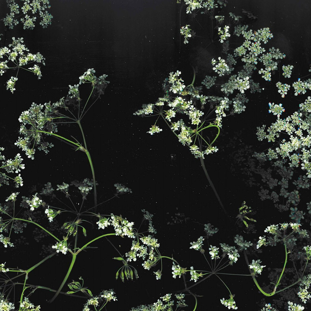 Meet your Posher, Madeline